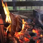 Levinlento