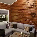 Levinlento *