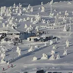Levinlento * Леви