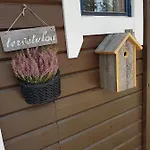 Levinlento