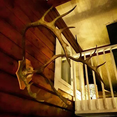 Dağ evi Levinlento Levi