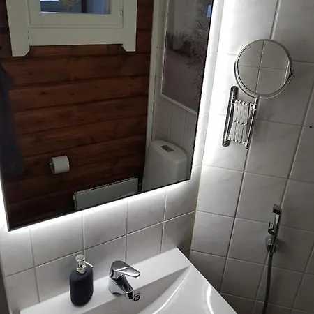 Levinlento Dağ evi Levi