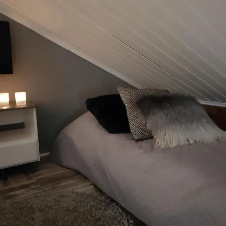 Levinlento Dağ evi Levi