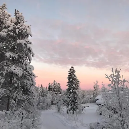 Dağ evi Levinlento Levi