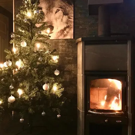 Levinlento Dağ evi Levi