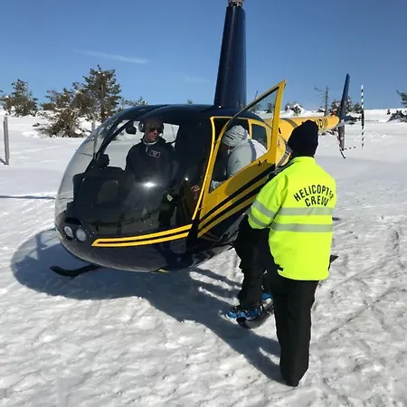 Levinlento Dağ evi *