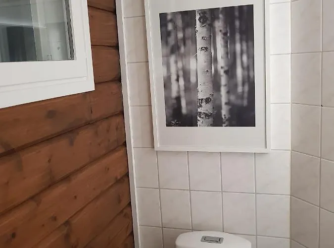 Levinlento Alpehytte Levi