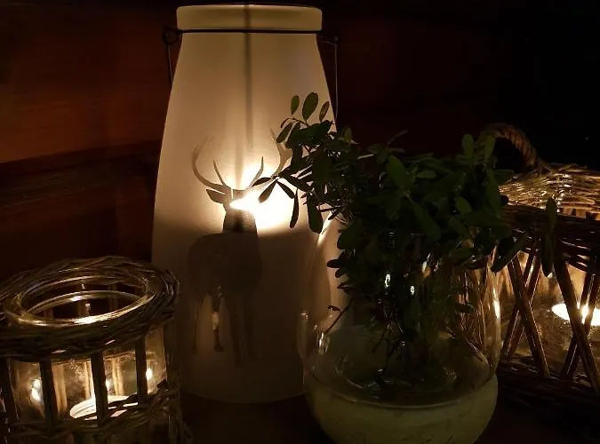 Alpehytte Levinlento Levi