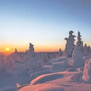 Alpehytte Levinlento *