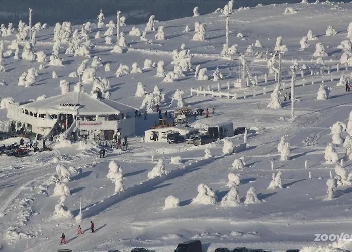 Levinlento * ليفي