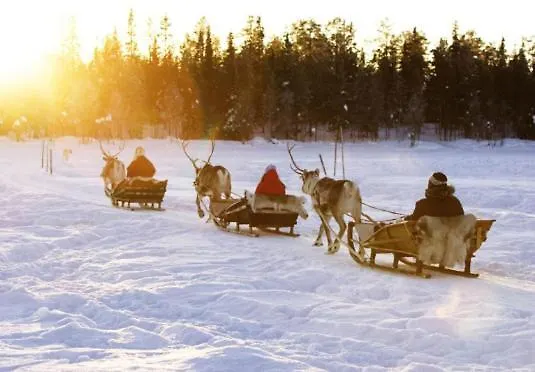 Alpehytte Levinlento Levi