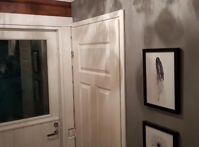 Alpehytte Levinlento Levi