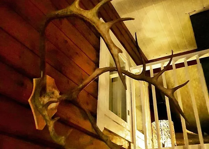 Alpehytte Levinlento Levi