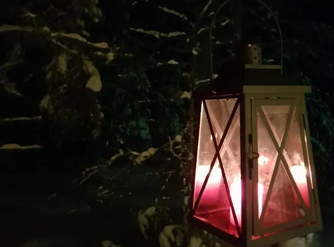 Levinlento * ليفي