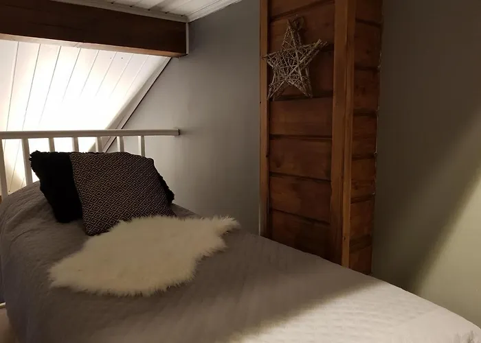 Levinlento Alpehytte *