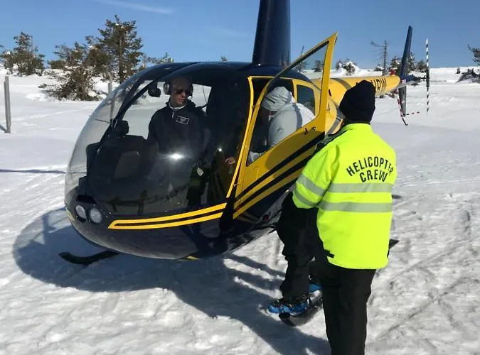 Levinlento Alpehytte *